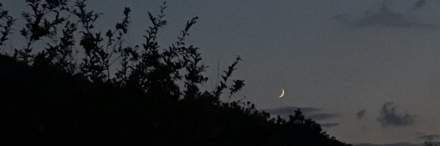 ofthemoon98's profile banner image