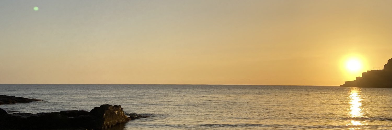 pansyfighter's profile banner image