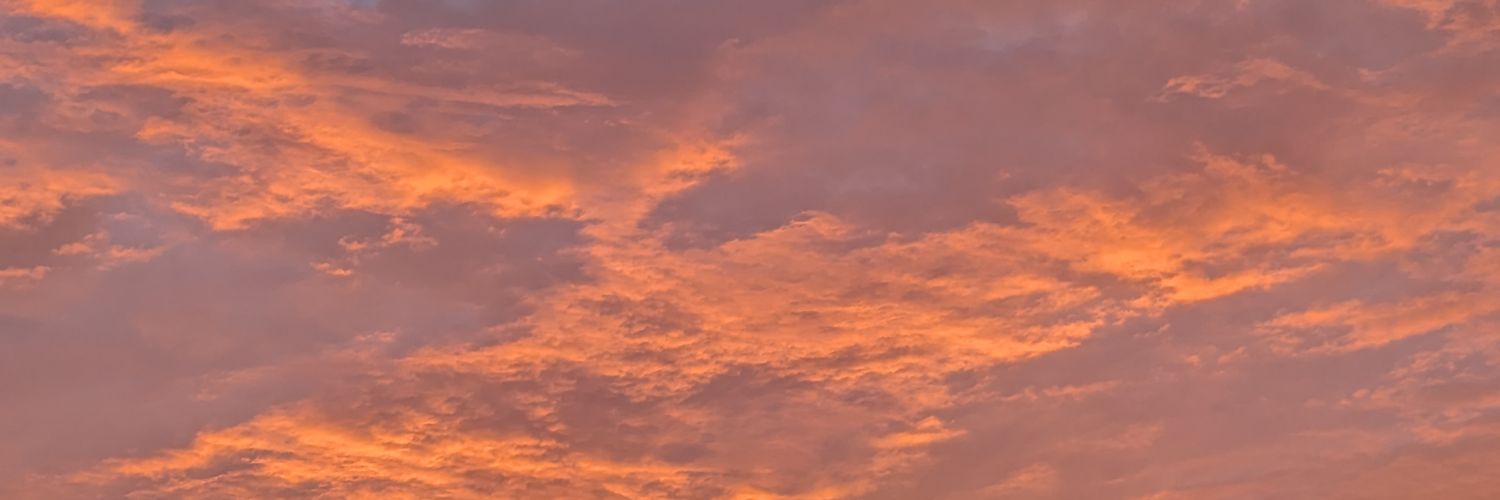 gabernaz's profile banner image