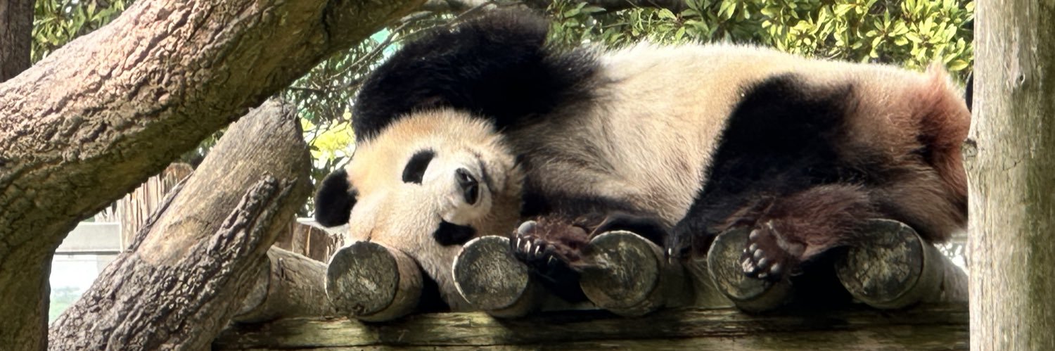 Pandanurse95's profile banner image