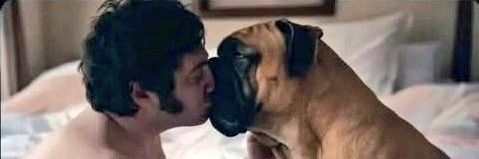 Gatito Mimoso del 53% banner