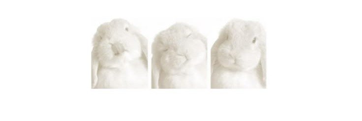 soiseluar's profile banner image