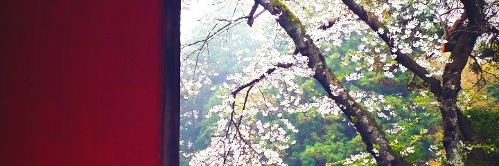 FreeHaru630's profile banner image