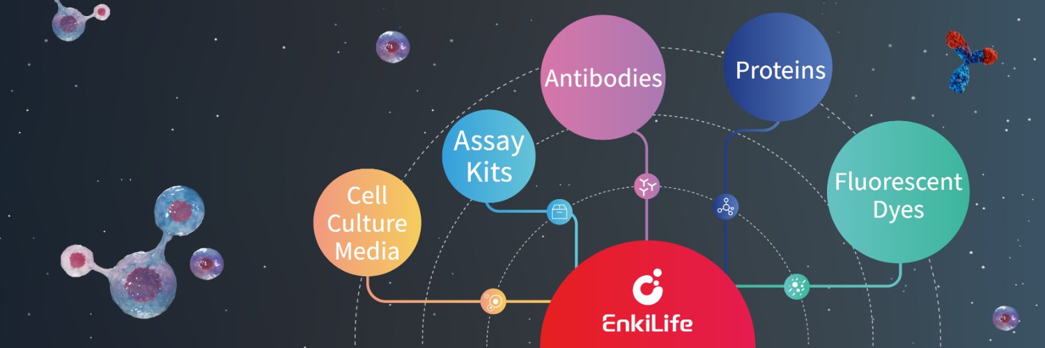 EnkiLife banner