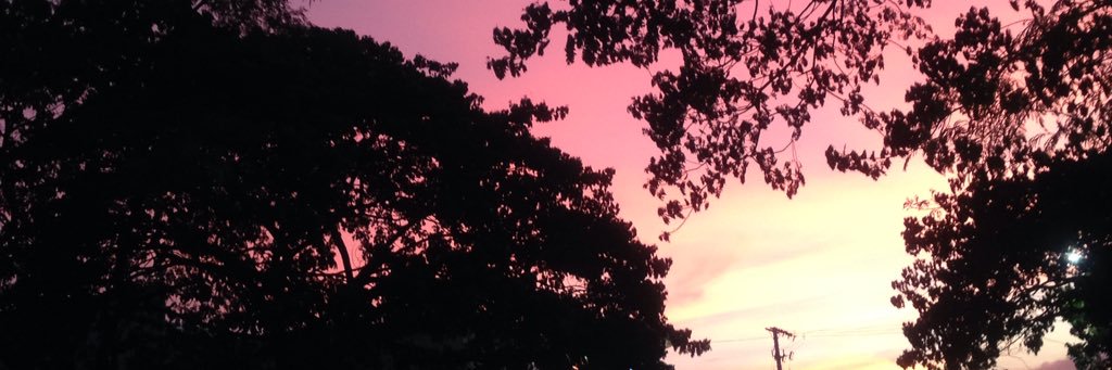 PaulJeanne's profile banner image
