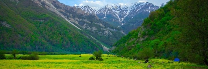 فاطمی's banner