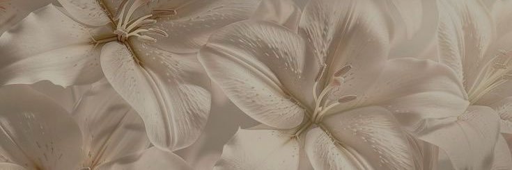 👣✨ banner