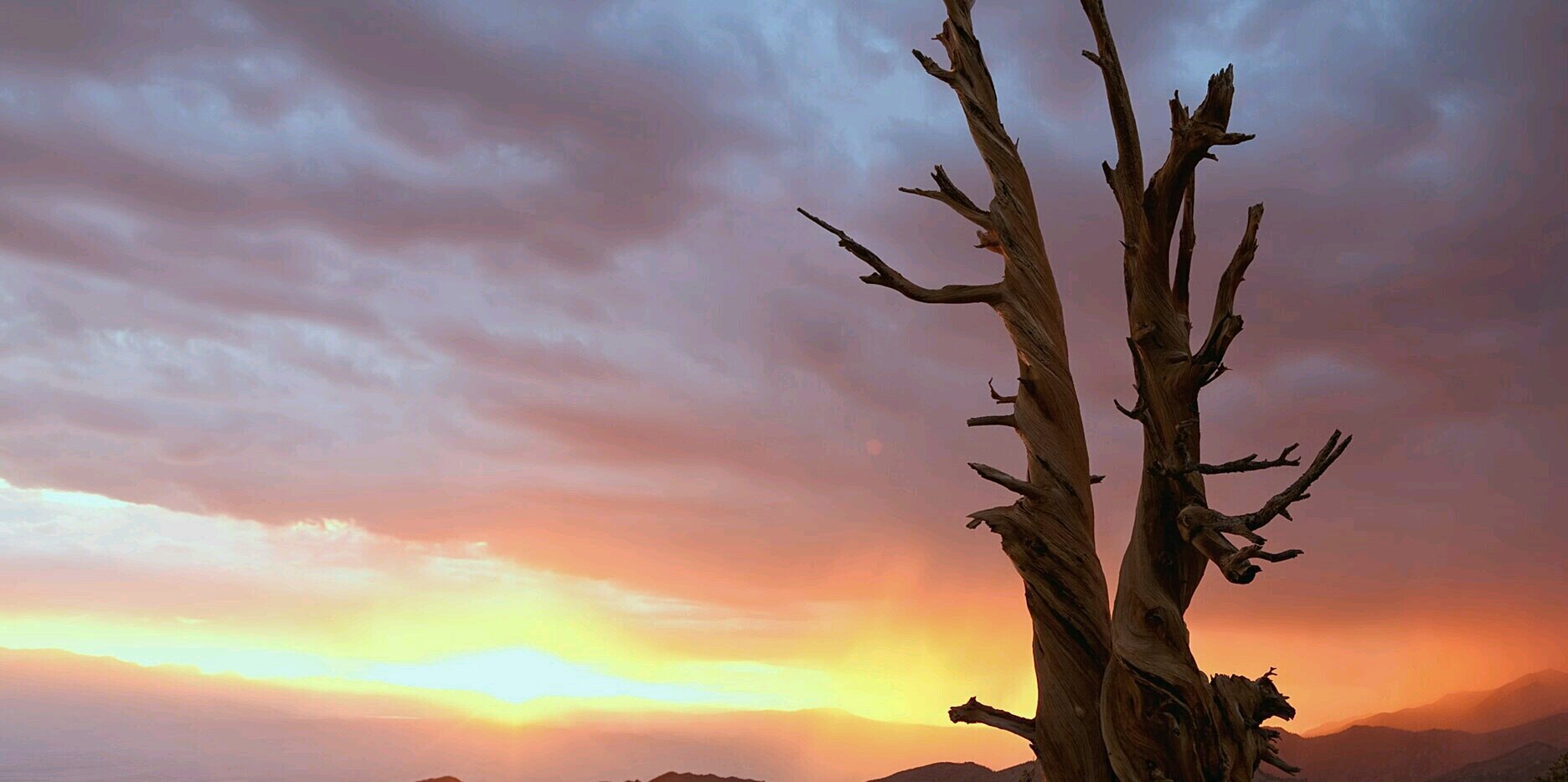 ElliotThomasson's profile banner image