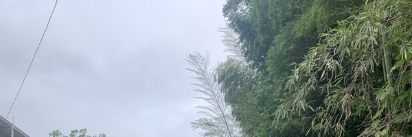 p2_yxh Profile Banner