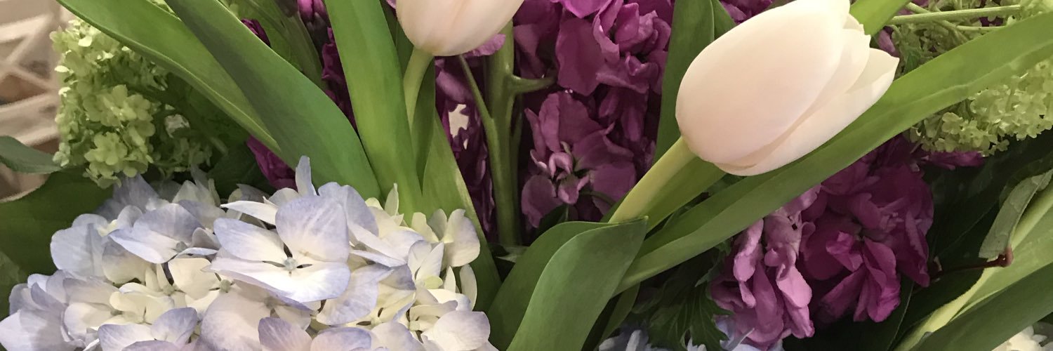 Dr. Carol Felderman banner