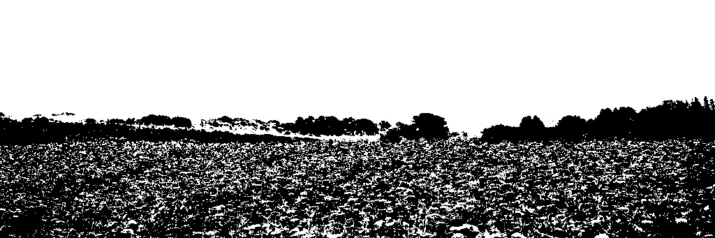 wilt. banner