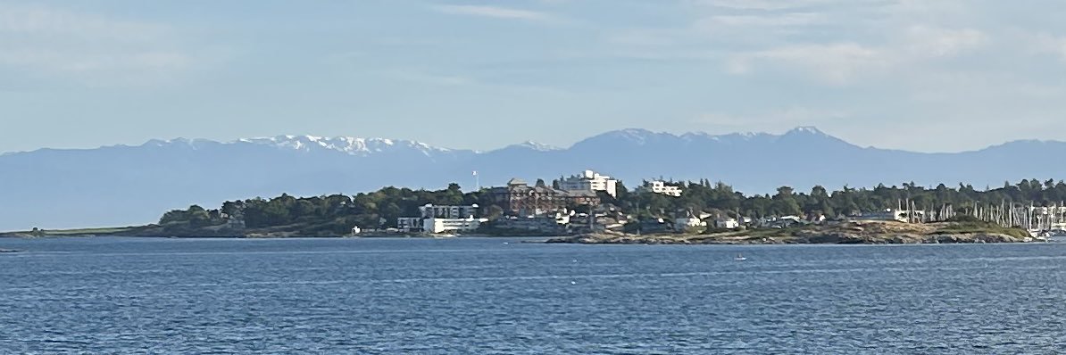 Gregory Thomas banner