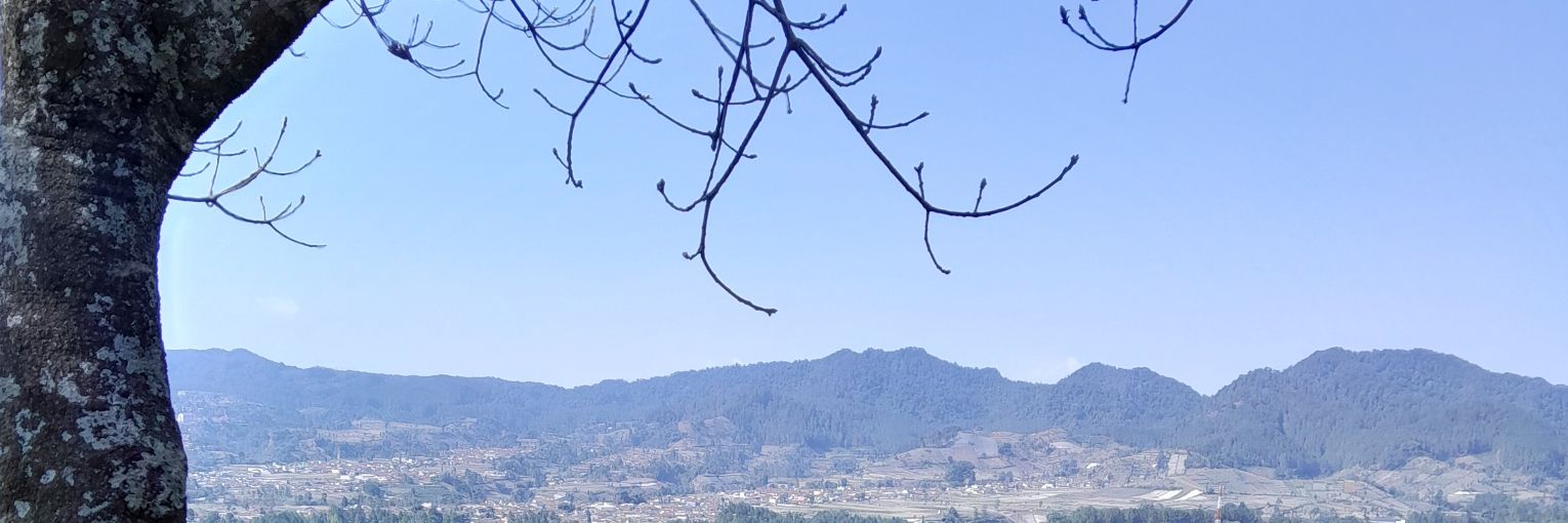 putriplb's profile banner image