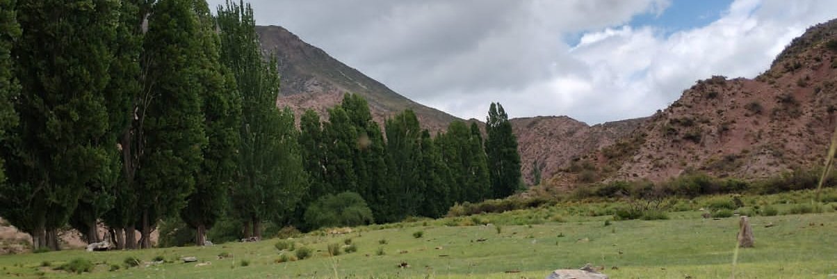 AntoRodriguezE's profile banner image