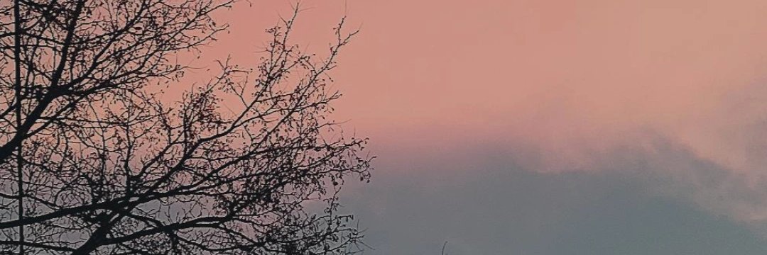 MMLiui banner