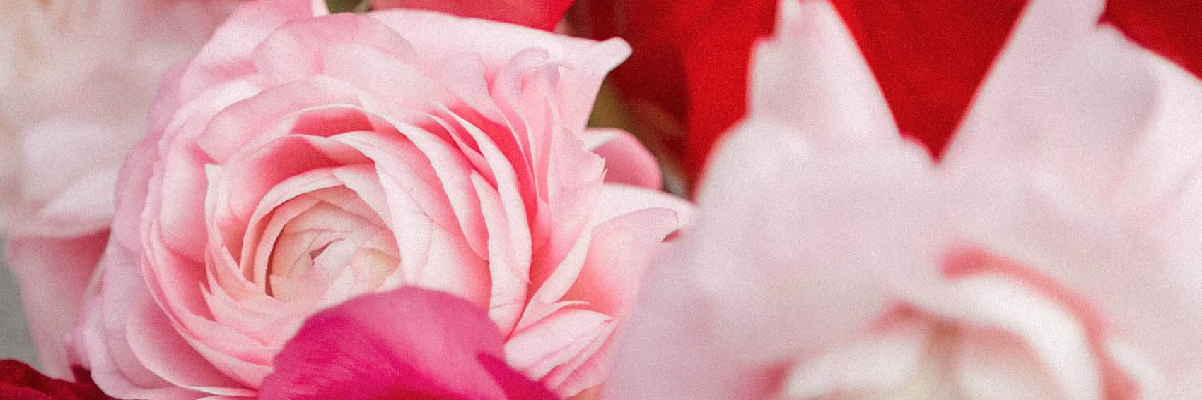 maristellago's profile banner image