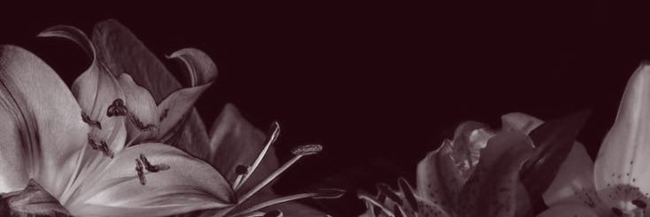 CLARABELL HALE. banner