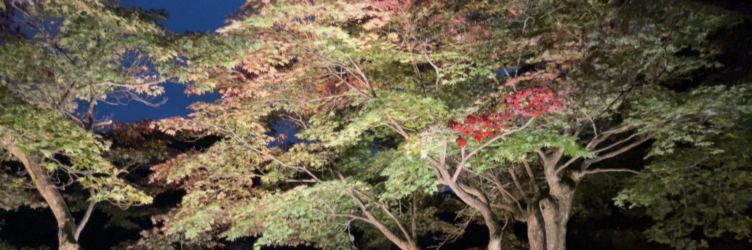 MJ07210721's profile banner image