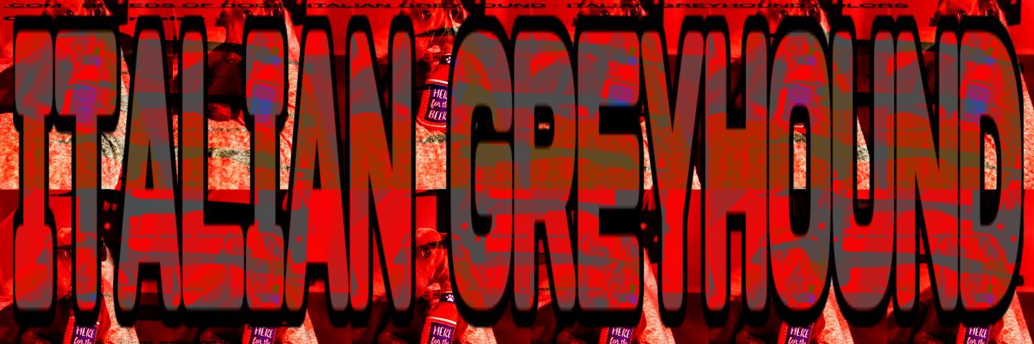 𝖲𝖨𝖭𝖭𝖤𝖱 🔞 banner