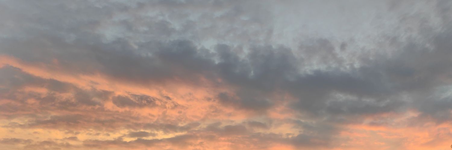 mes0b0gm's profile banner image