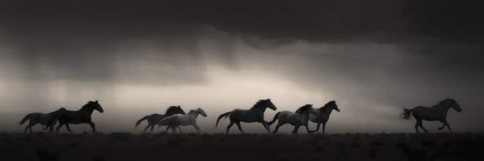 Emrah Erdoğan banner