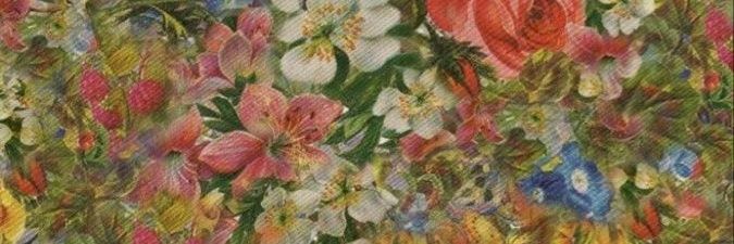 rif²⁶ banner