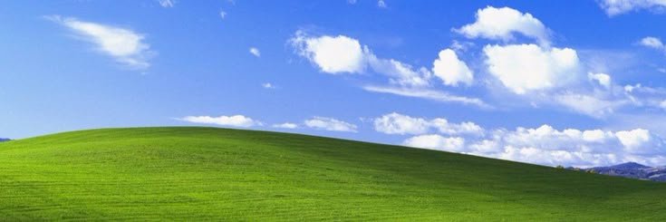 muelomo's profile banner image