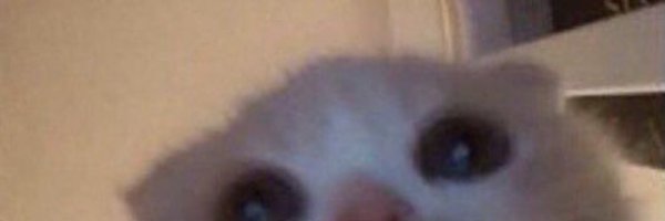 Graciebunnyxx Profile Banner