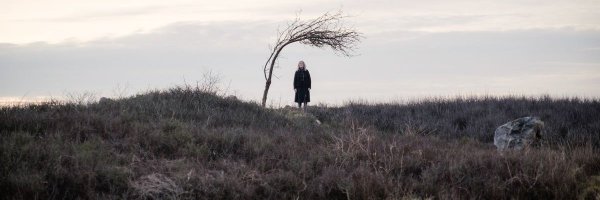 Daijianon Profile Banner