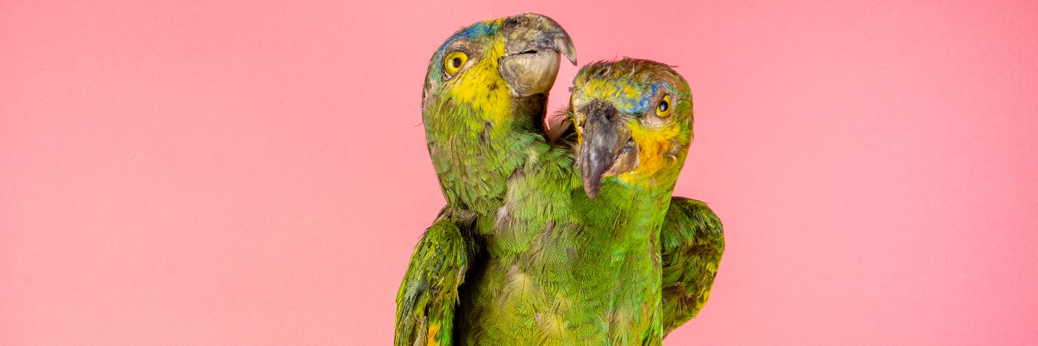 Ripley's Believe It or Not! banner