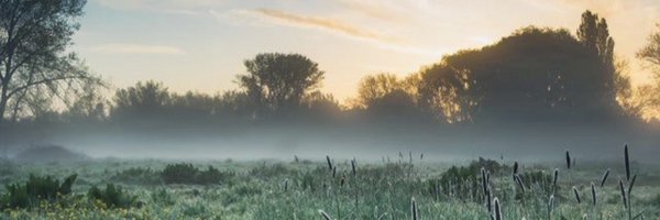 jmtnod_active Profile Banner