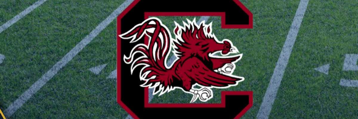 durdenatoru4399's profile banner image