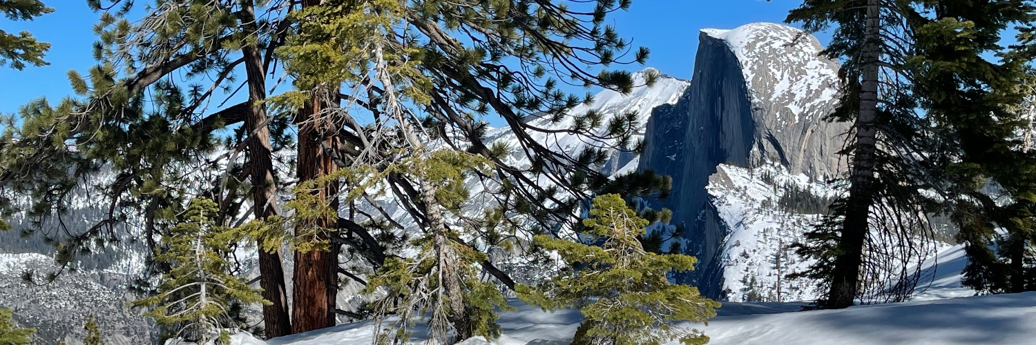 lewiz's profile banner image