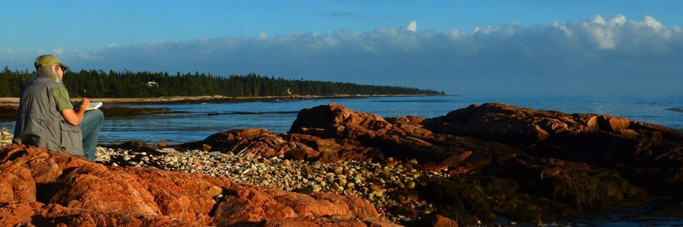 suzanscott's profile banner image