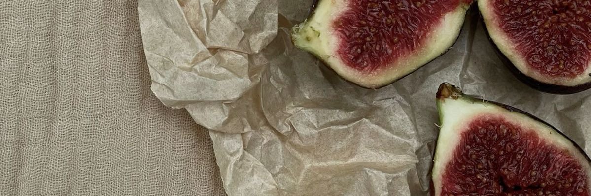 ⋆˙⟡ ᴠᴇʀᴏɴɪᴄᴀ banner