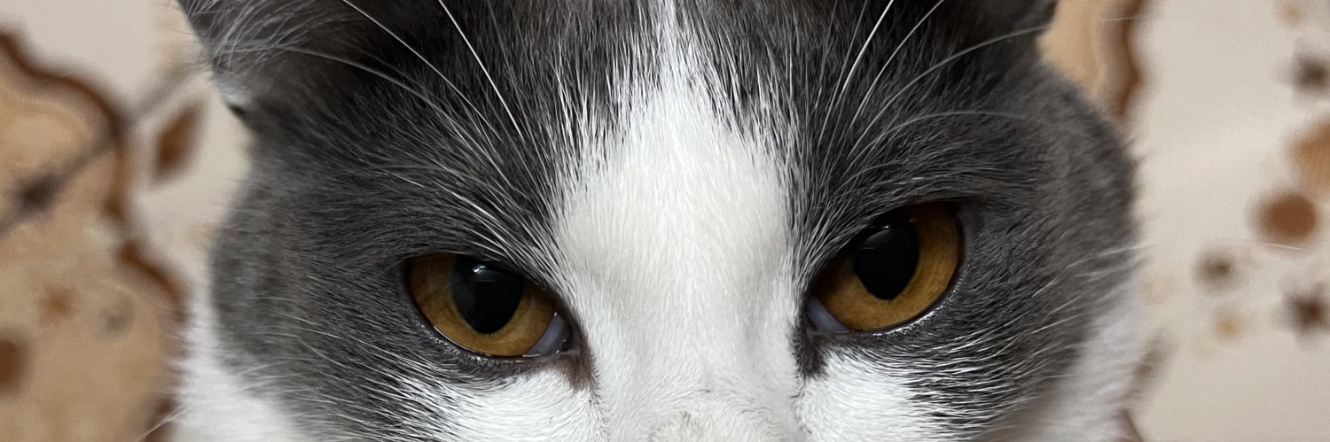 phimnatcha_w's profile banner image
