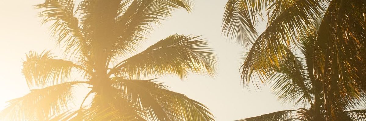 xim 𐚁⊹₊ ⋆'s banner