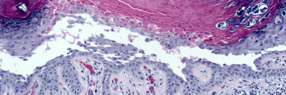 Ryan Hick, MD banner