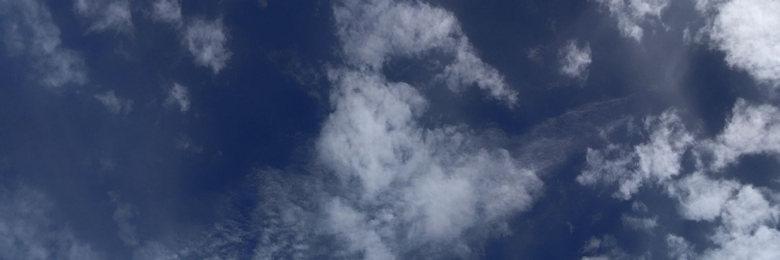 🐻 🇨🇱 banner