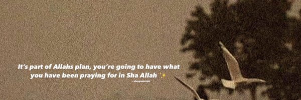 hamxahbj Profile Banner