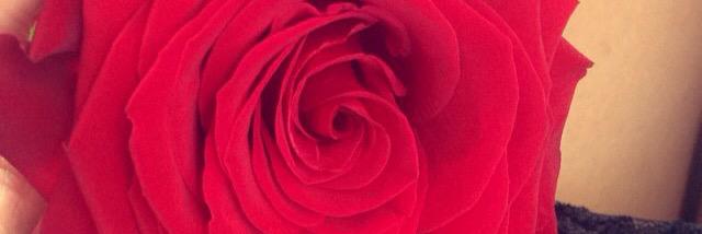 corriebeth7's profile banner image