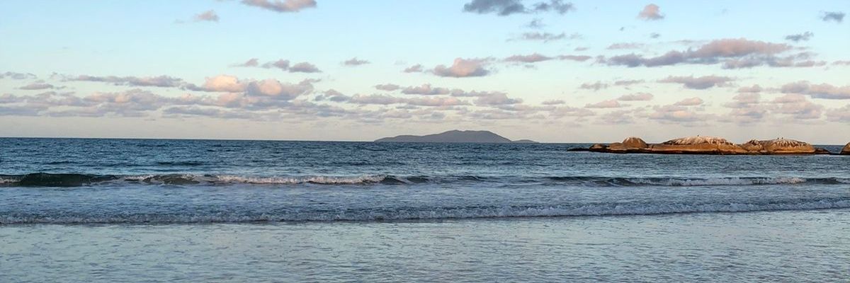 BarbiiRegnet's profile banner image