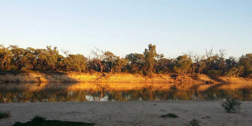 Toby Thurstans banner