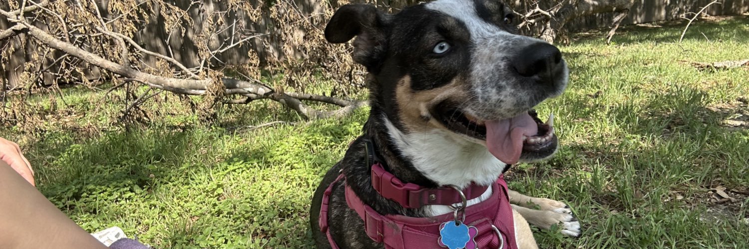 zoerendon's profile banner image