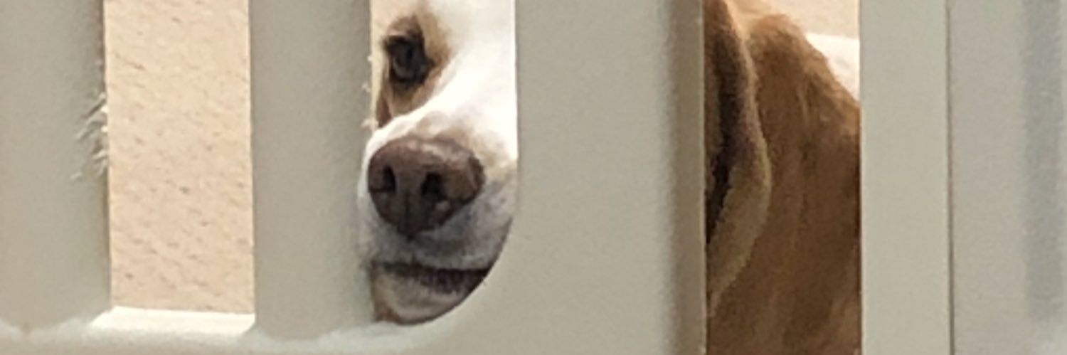mituha0529's profile banner image