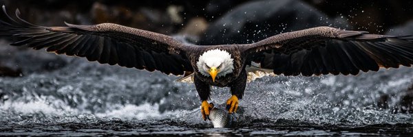 AshleyHSwift Profile Banner