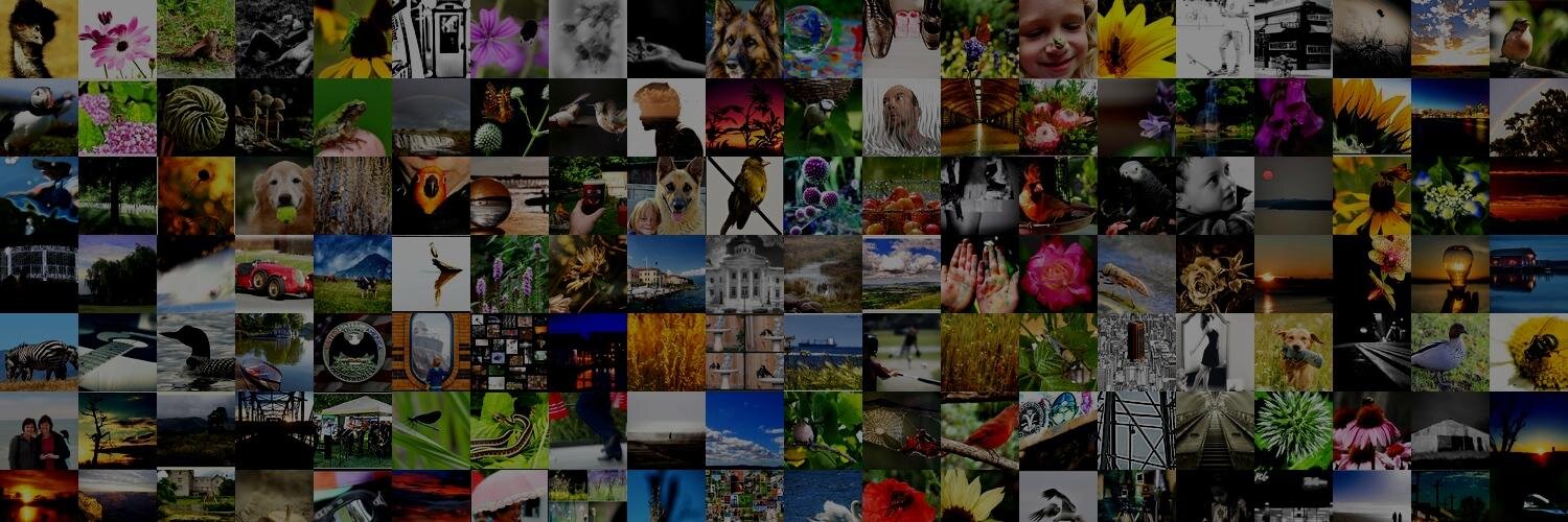 The365Project's profile banner image