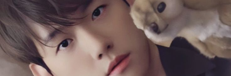 liamahdi's profile banner image