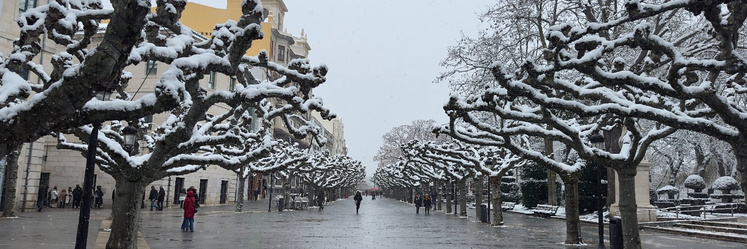 Alberto Alegre banner