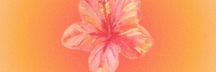 gesha 🍬🍅 banner